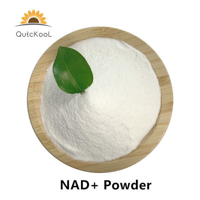 quality CAS 53-84-9 بيتا NAD مسحوق NAD + نيكوتيناميد أدينين دينوكليوتيد factory